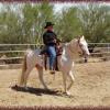 Maucho's Chilly Willy, a perlino colt, went to Bryson and Elaine Struse, AZ