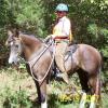 Bonnie on Baron's Final Star H. on a trail ride 1 1/2 year after Bonnie had brain surgery. It was nice to be riding again!