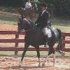 Baron in an English class at a show in SC.